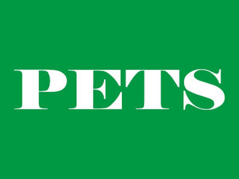 'PET (GREEN/RED)' 3.4m Commercial Feather Banner Flag