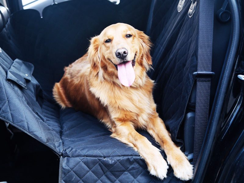 Heavy-Duty Waterproof Pet Car Seat Cover | Non-Slip Hammock Protector for Dogs/Cats | SUV, Ute, Truck