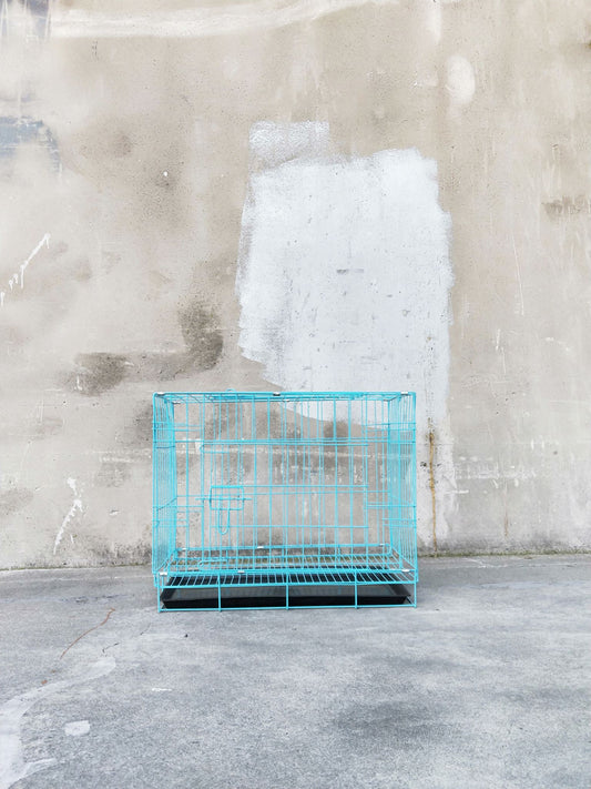 Pet Cage - 60cm Wide Collapsible Metal Pet Cage Blue