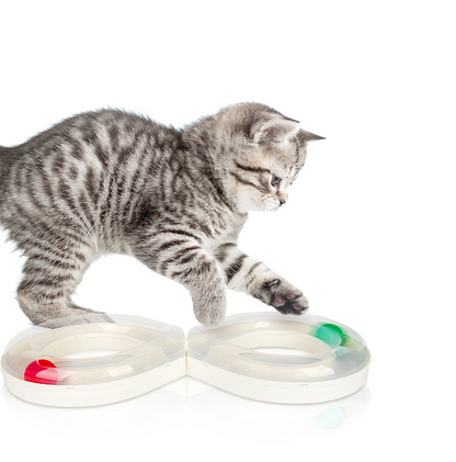 Infinity Ball Track for Cats