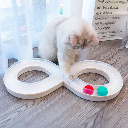 Infinity Ball Track for Cats