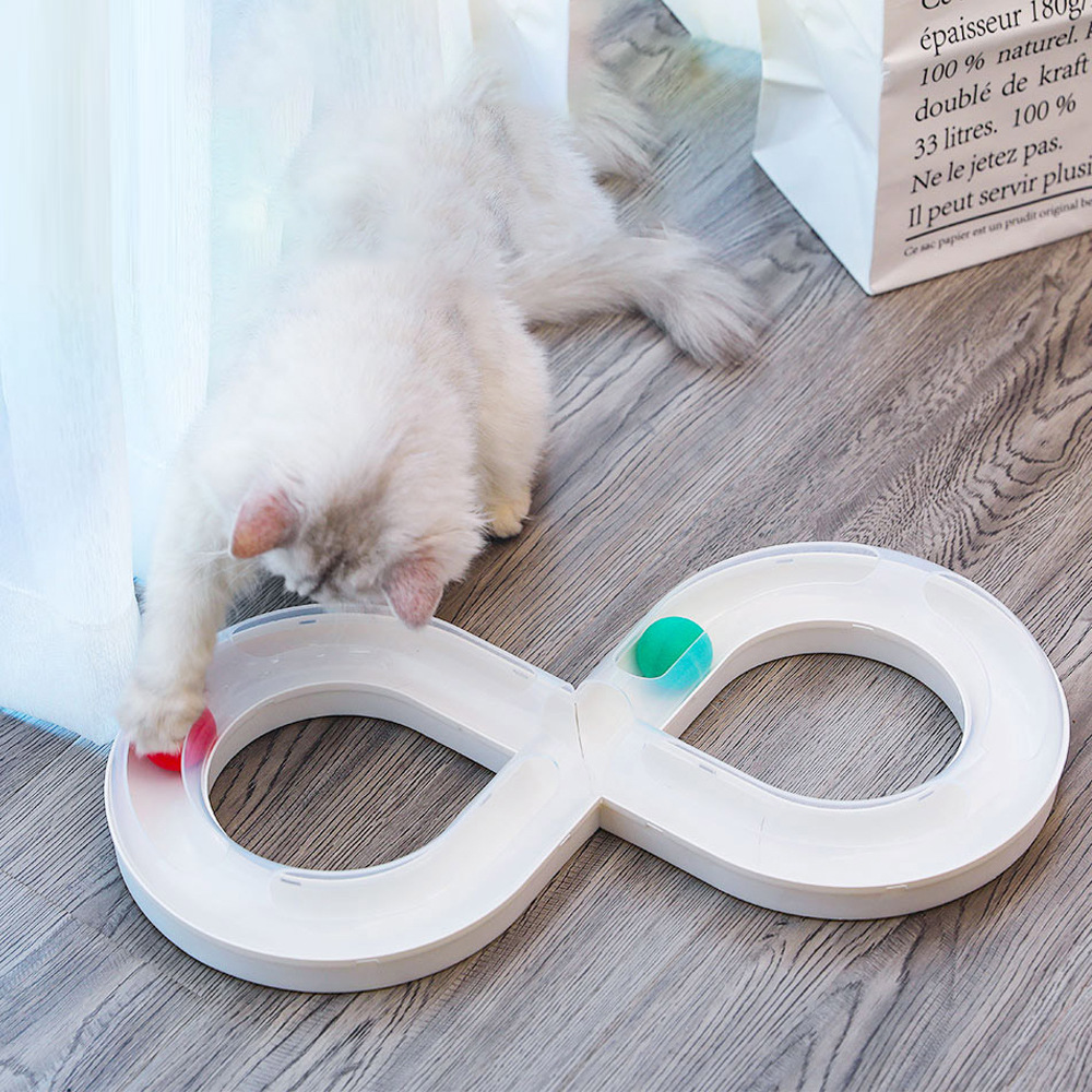 Infinity Ball Track for Cats