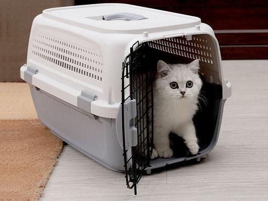 50CM GREY  - Dog/Cat Airline Travel Cage/Carrier
