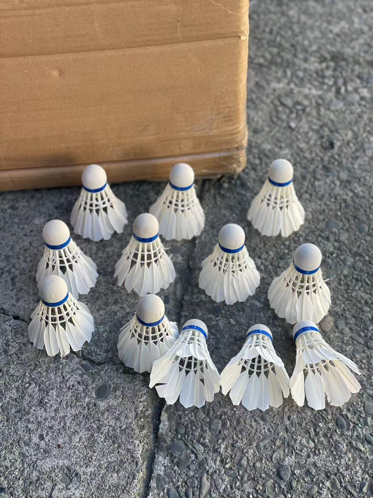 12 Pcs White Feather Badminton Sport Shuttlecocks Durable Training Ball